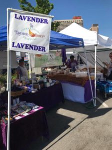 2021 Sierra Nevada Lavender and Honey Festival